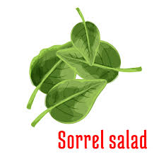 Healthy Vegetarian Salad Recipe