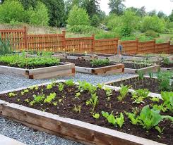 Raised Beds And In Ground Gardens