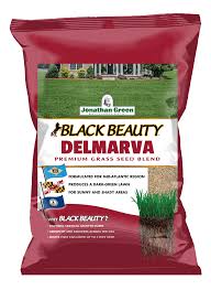 Buy Black Beauty Delmarva Grass Seed