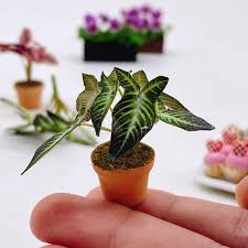 Miniature Plants Miniature Dollhouse