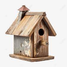 Vintage Bird House Isolated Wood