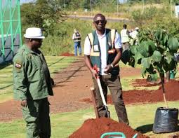 The Plant Your Age Initiative