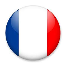 France Flag Vector Art Icons And