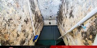 Prevent Mold In Crawl Spaces And Basements