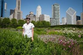 Lurie Garden Thrives In Drought