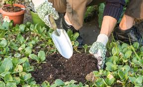 Best Gardening Tools For Your Yard