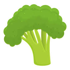 Garden Broccoli Icon Cartoon Of Garden