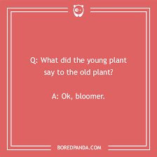 A Collection Of 148 Plant Puns That