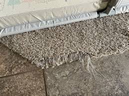rinsewell carpet cleaning mesa az