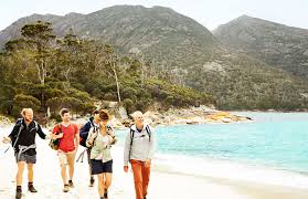 How To Get To Wineglass Bay Tasmania