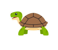 Turtle Vector Isolated Icon Emoji