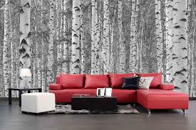 Wall Murals Birch Tree Forest Wall