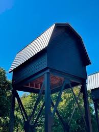 Bat Population