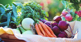 Vegetable Garden Size Calculator How