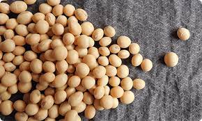 soy benefits food for life grain