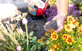 Your Garden After Harvest
