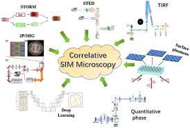 Chemosensors Free Full Text Recent