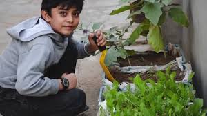 Indian Kids Planting Trees Stock