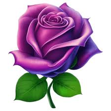 Purple Rose Blossom Icon Rose