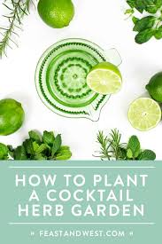 How To Start A Cocktail Herb Garden