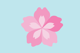 Japanese Pink Cherry Blossom Icon
