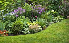 Landscaping Studley S Flower Gardens