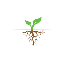 Root Logo Vector Icon Ilration