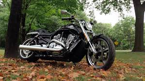 Harley Davidson V Rod Muscle Review