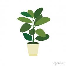 Flower Pot Ficus In Pot Icon Art Design