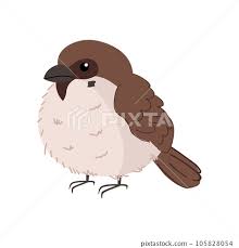 Cute Cartoon Style House Sparrow Bird