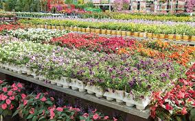 Flower Bed Ideas The Home Depot