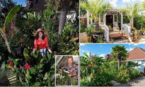 Dorset Man Creates Tropical Garden In