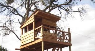 Austin Treehouse Builder Centex