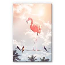 Poster Loose Flamingo And Friends