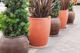 Classic Huge Flower Pots Stock Photo