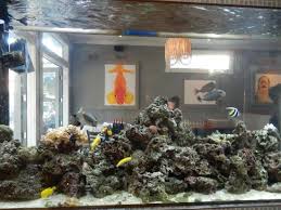 Icon Fish Tank Inside Picture Of