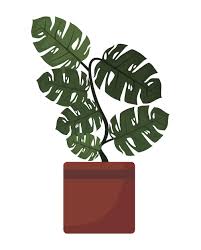 Page 3 Oversized Plant Images Free