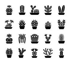 Barrel Cactus Vector Images Browse 1