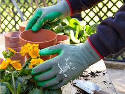 The Best Gardening Gloves You Can Buy
