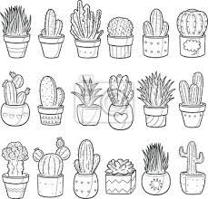 Succulent Cactus Plant Decor Doodle