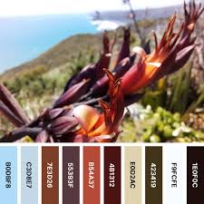 How To Match Colors Using A Color Tool