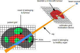 the radiotherapy optimisation test set