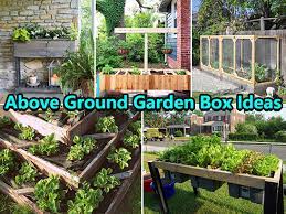 Above Ground Garden Box Ideas