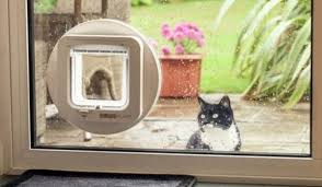 Cat Flaps Cat Flap Fitter Cat Out