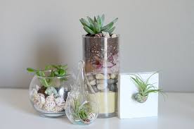Diy Terrariums With Gathered Sea Ss