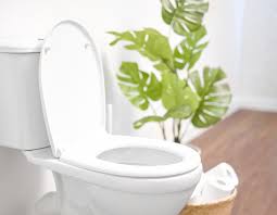 How To Choose The Right Toilet For Your