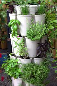 Best Containers For Growing Vegetables