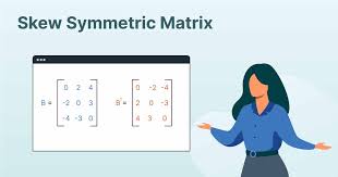 All About Skew Symmetric Matrix