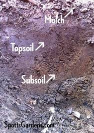 Garden Soil Spotts Garden