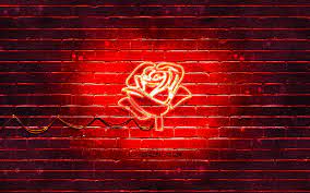 Hd Neon Red Rose Wallpapers Peakpx